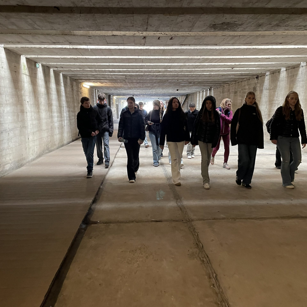 20260323_093854598_iOS