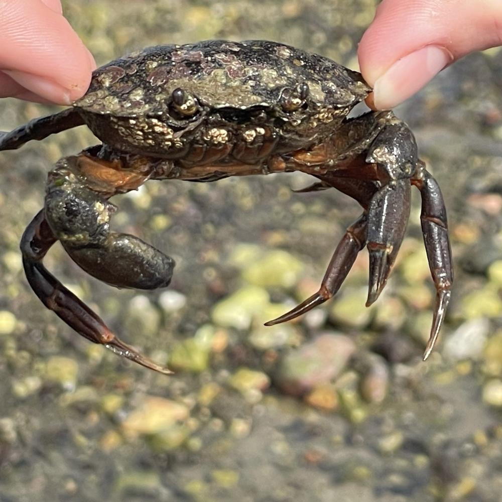 20260324_135425276_iOS