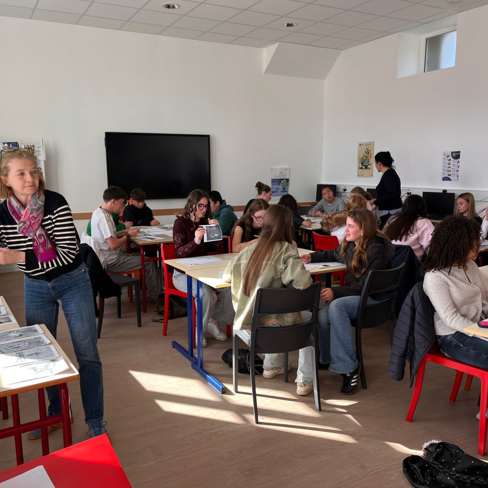 WhatsApp Image 2026-03-25 at 11.22.03