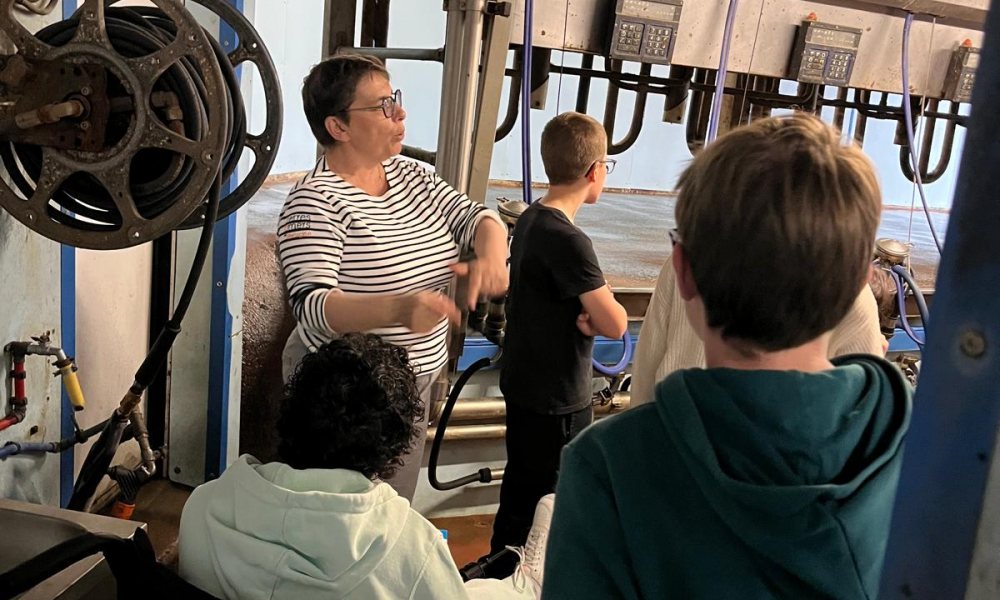 WhatsApp Image 2026-04-09 at 17.08.21 (2)