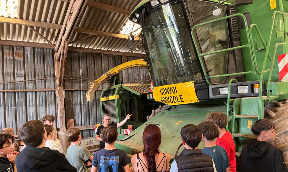 WhatsApp Image 2026-04-09 at 17.08.22