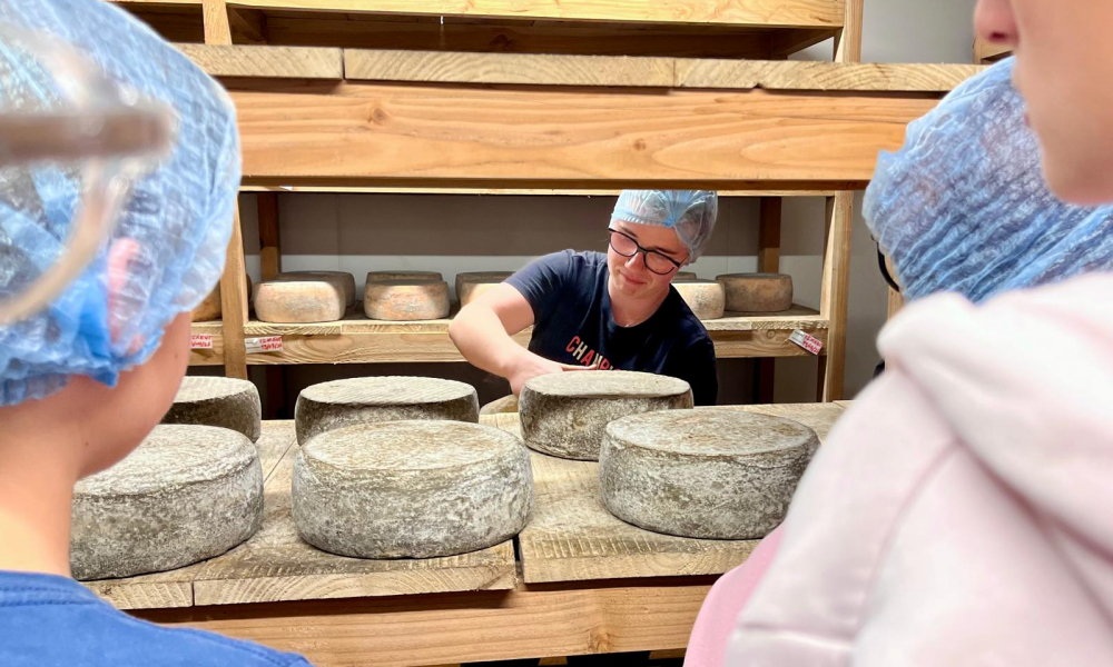 WhatsApp Image 2026-04-09 at 17.08.22 (3)