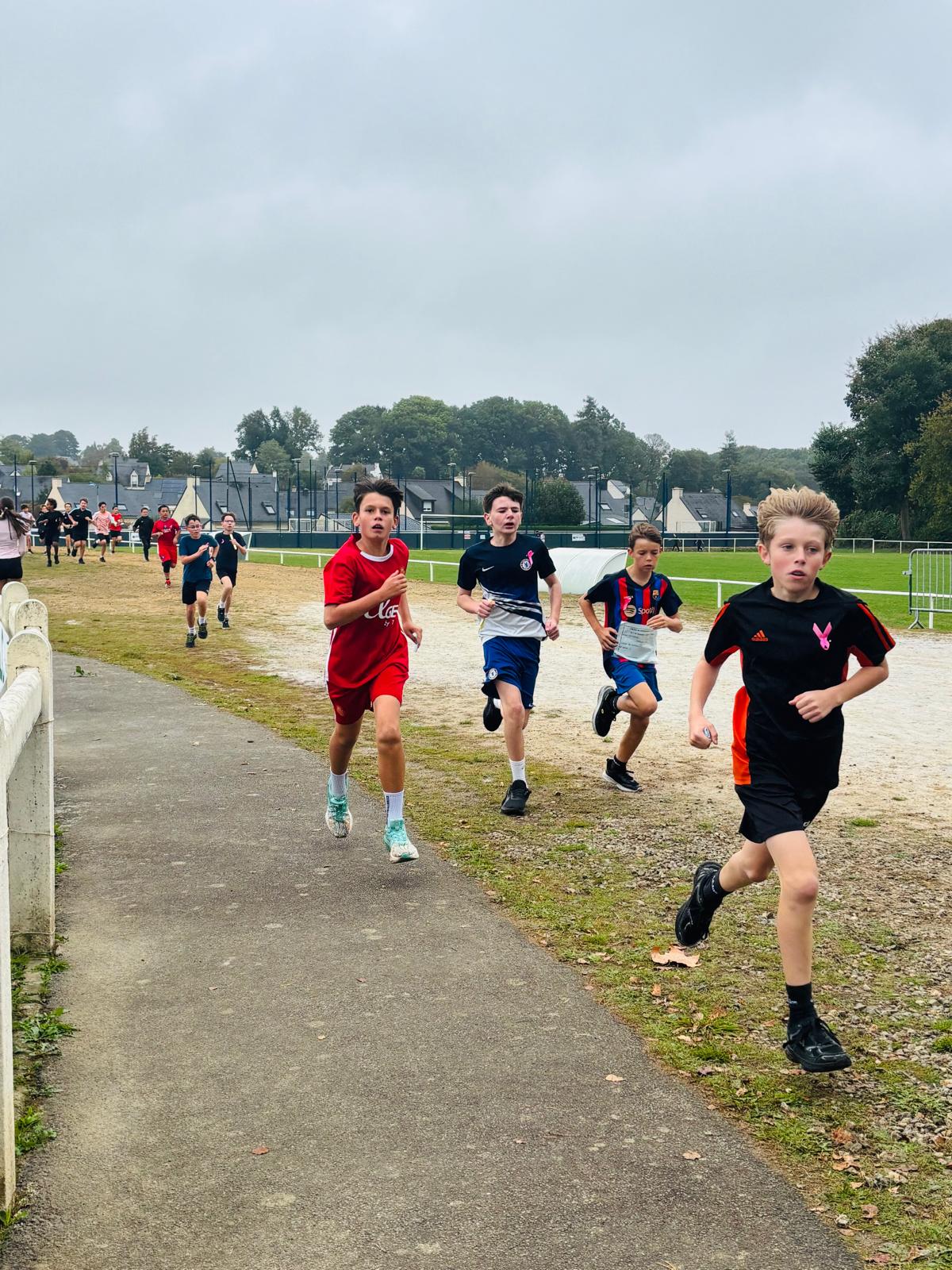 Cross26 (75)