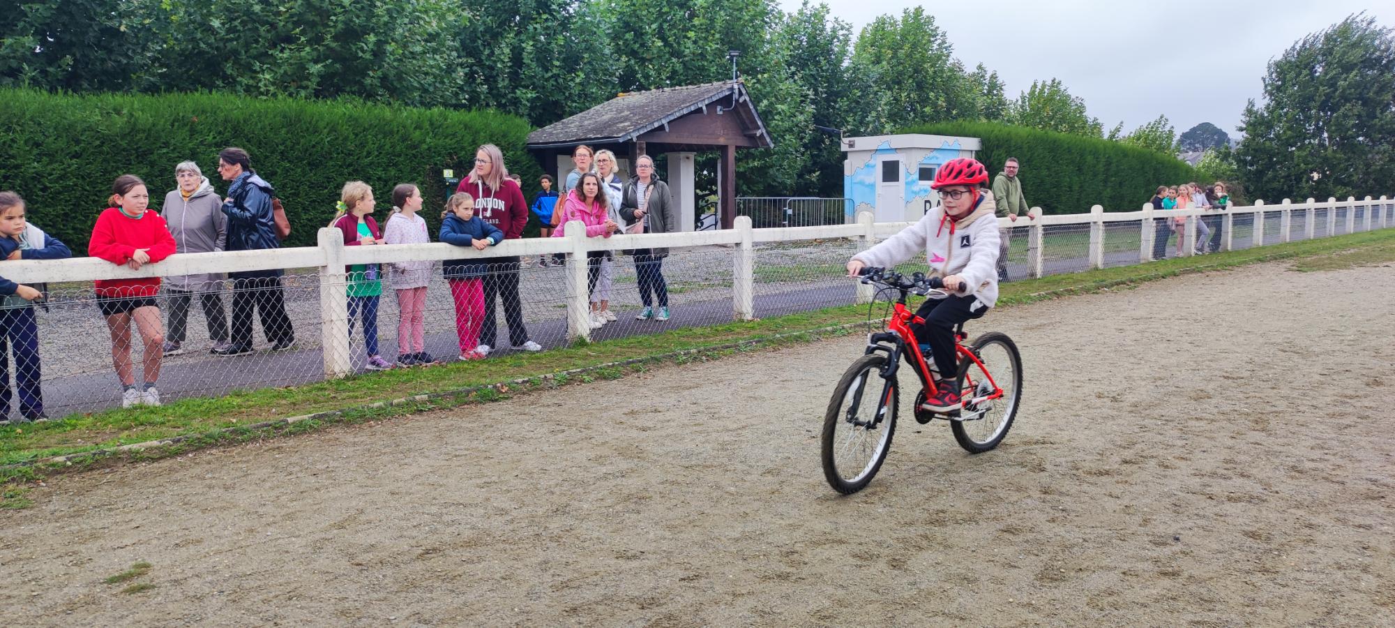 Cross26 (8)