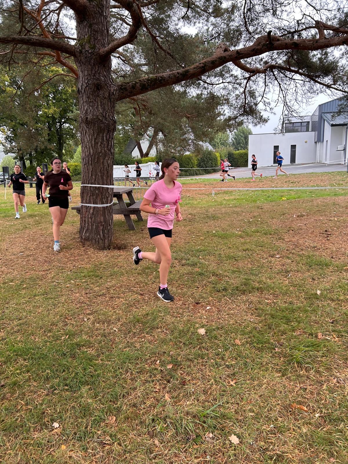 Cross26 (81)