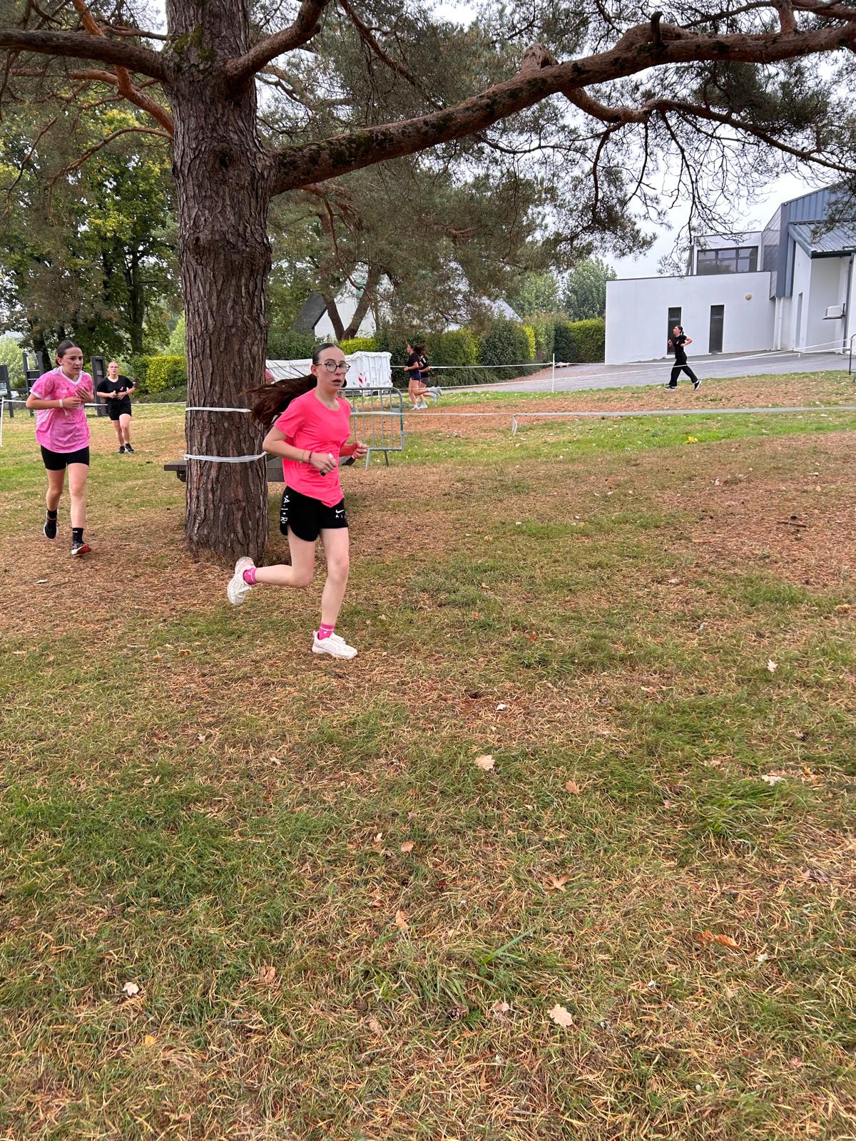 Cross26 (82)