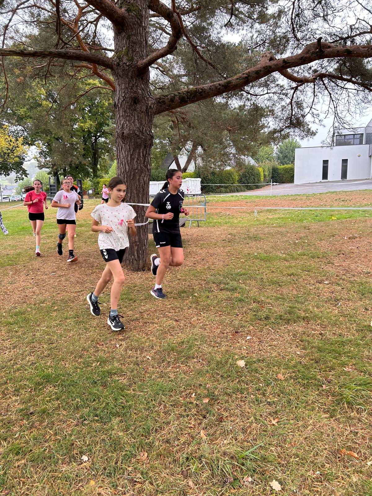 Cross26 (85)